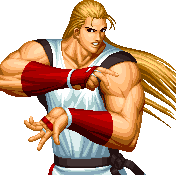 andy bogard
